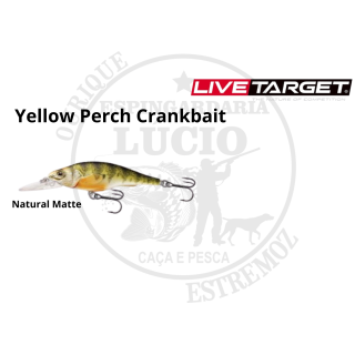 Amostra Live Target Yellow Perch Crankbait