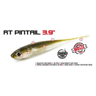 Amostra Molix RT Pintail 3,9 Slim